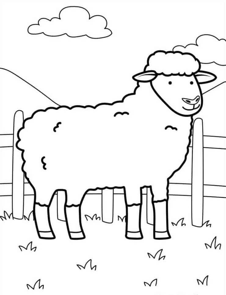 Farm Animal Coloring Pages 19 Farm Animal Coloring Pgaes 19