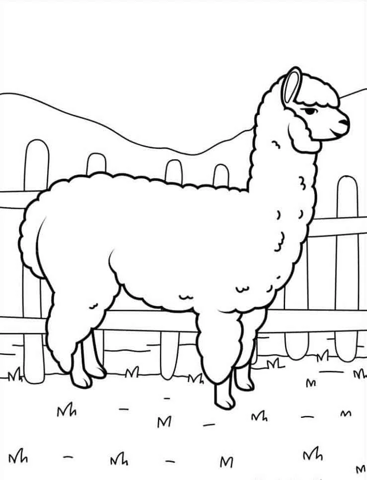 Farm Animal Coloring Pages 20 Farm Animal Coloring Pgaes 20
