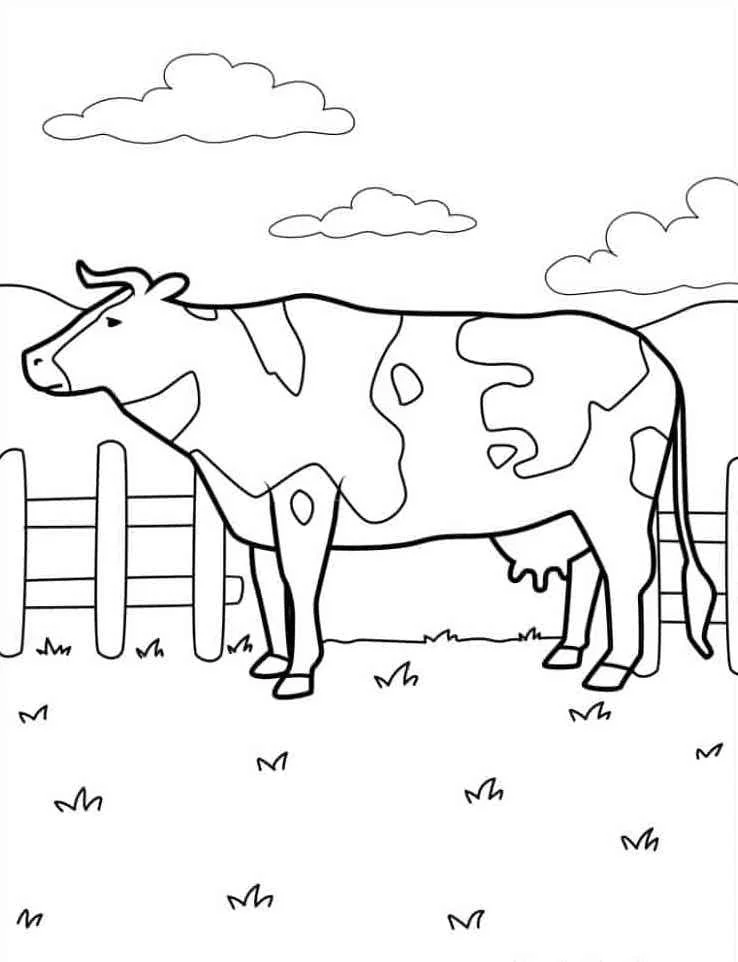Farm Animal Coloring Pages 24 Farm Animal Coloring Pgaes 24