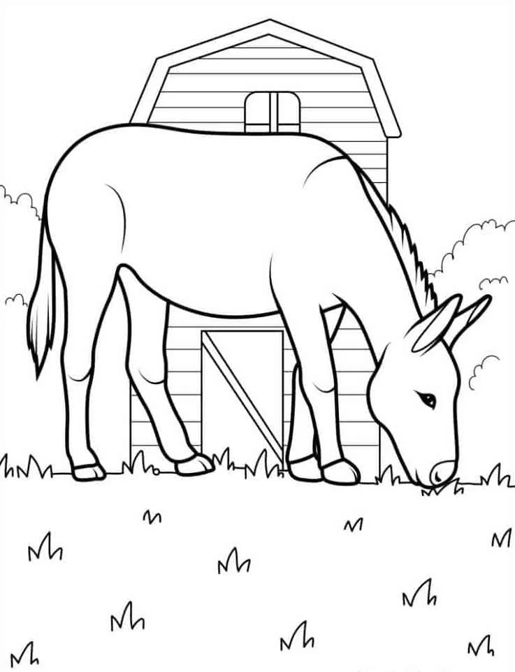 Farm Animal Coloring Pages 25 Farm Animal Coloring Pgaes 25