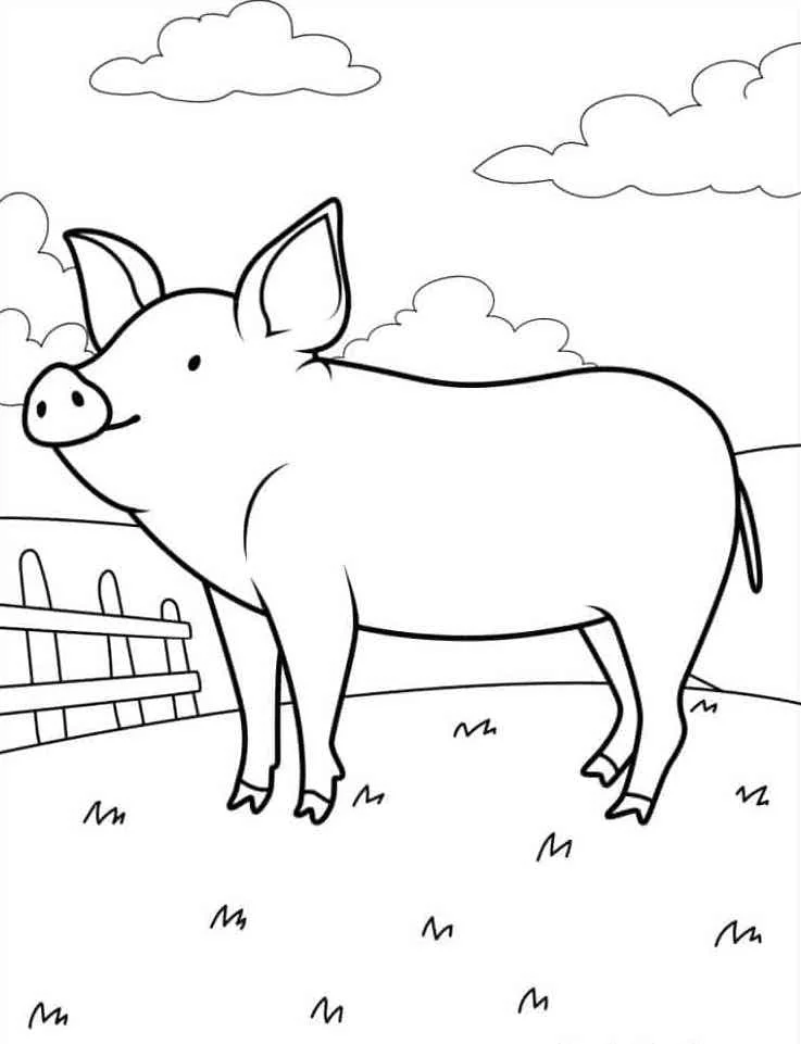 Farm Animal Coloring Pages 27 Farm Animal Coloring Pgaes 27