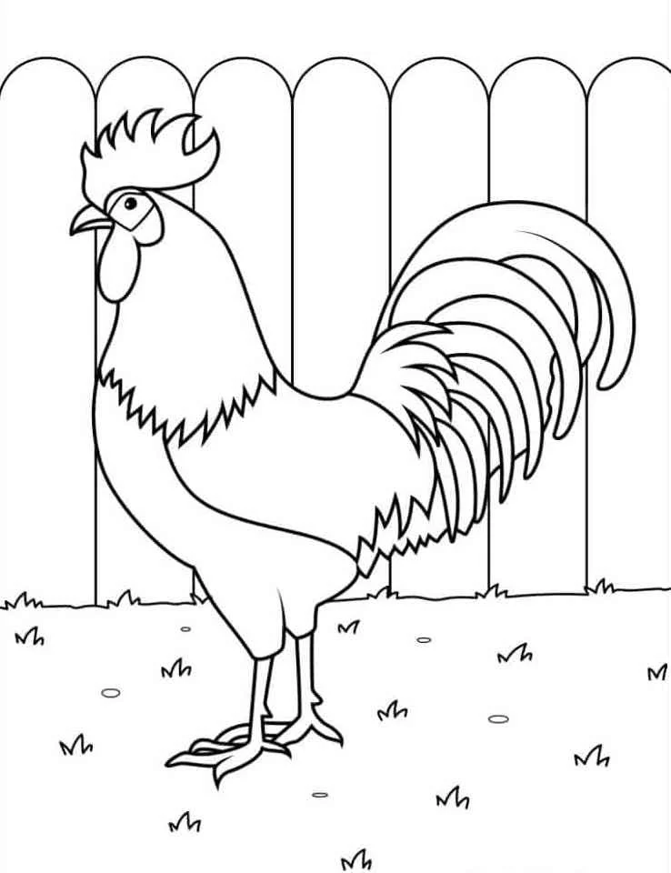 Farm Animal Coloring Pages 43 Farm Animal Coloring Pgaes 43