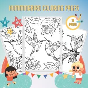 Hummingbird Coloring Pages