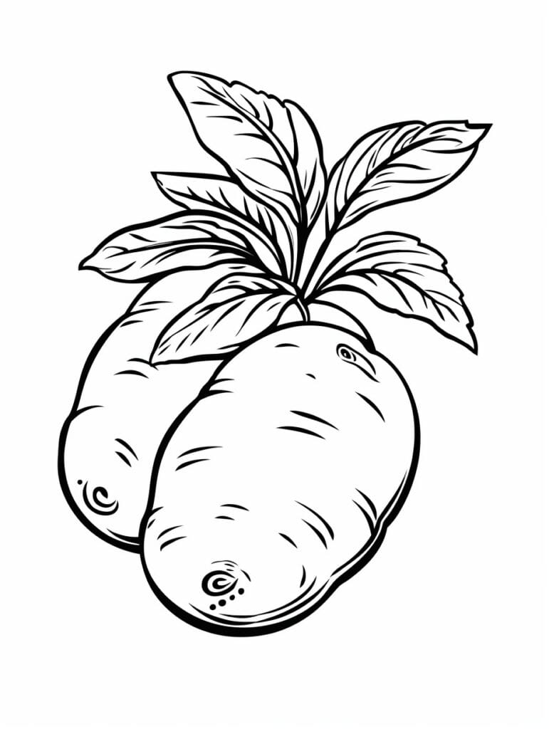 37 Potato Coloring Pages Where Spuds Sprout Stories